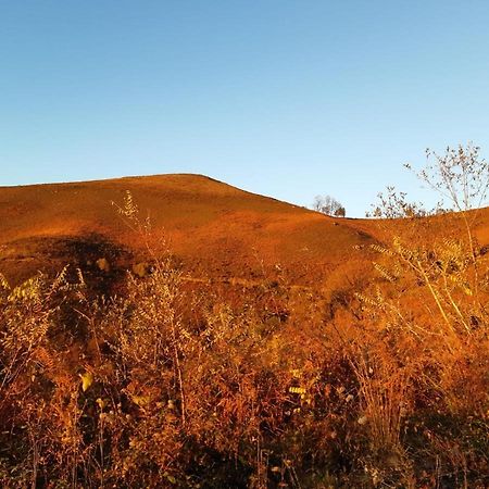 Apartamento Rural エリソンド エクステリア 写真