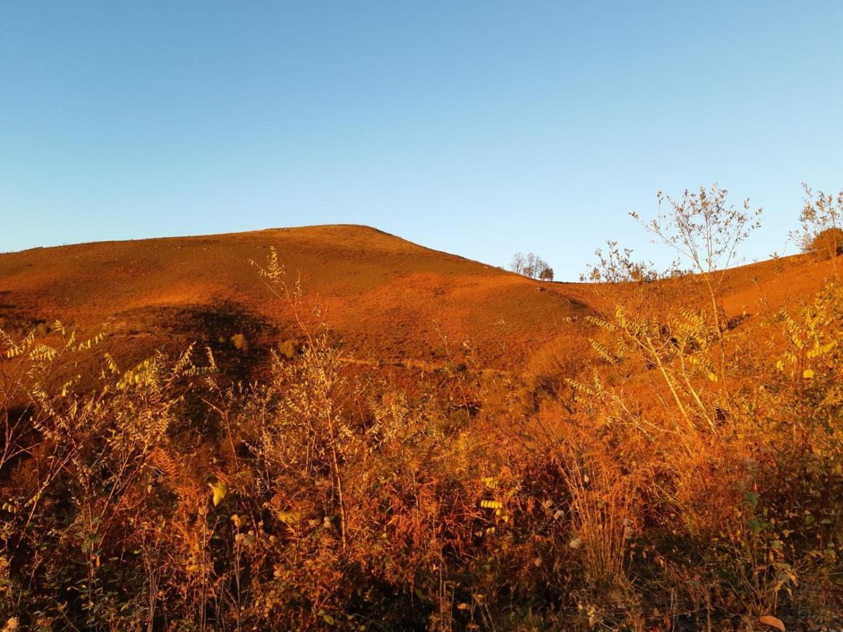 Apartamento Rural エリソンド エクステリア 写真