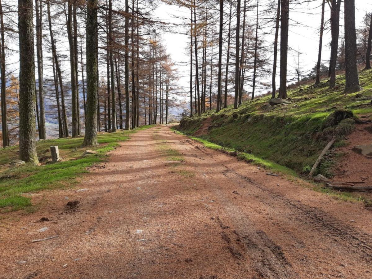 Apartamento Rural エリソンド エクステリア 写真