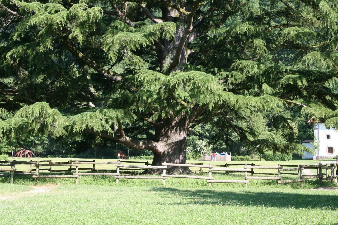 Apartamento Rural エリソンド エクステリア 写真